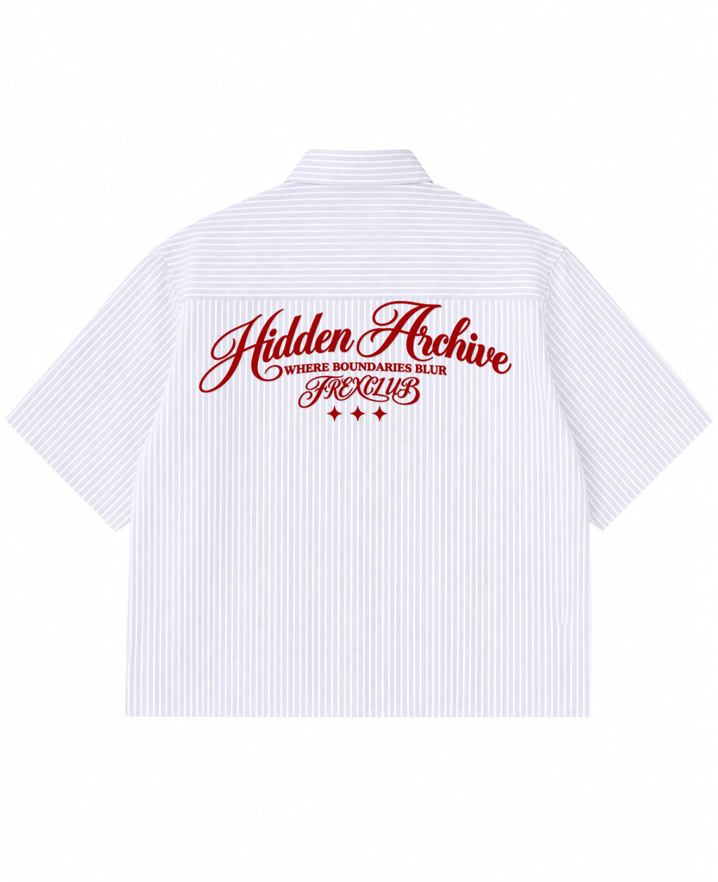 Blue Striped Oxford Boxy Shirt Back Design